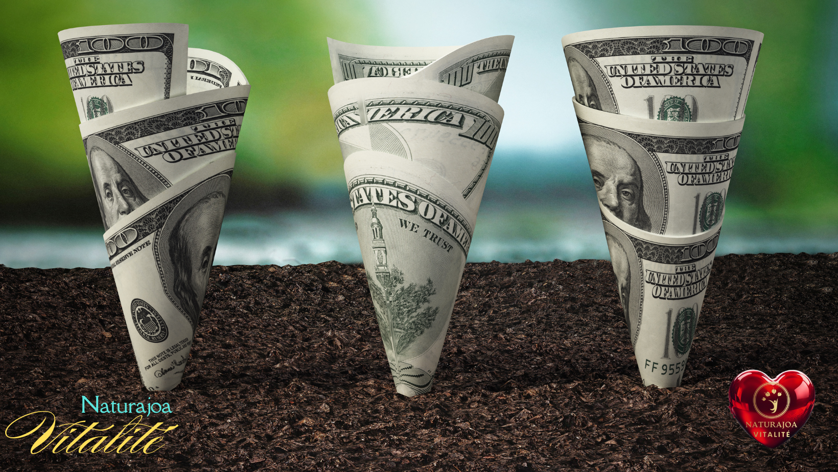 La Véritable Valeur de l’Argent en Temps de Crise naturajoa.com