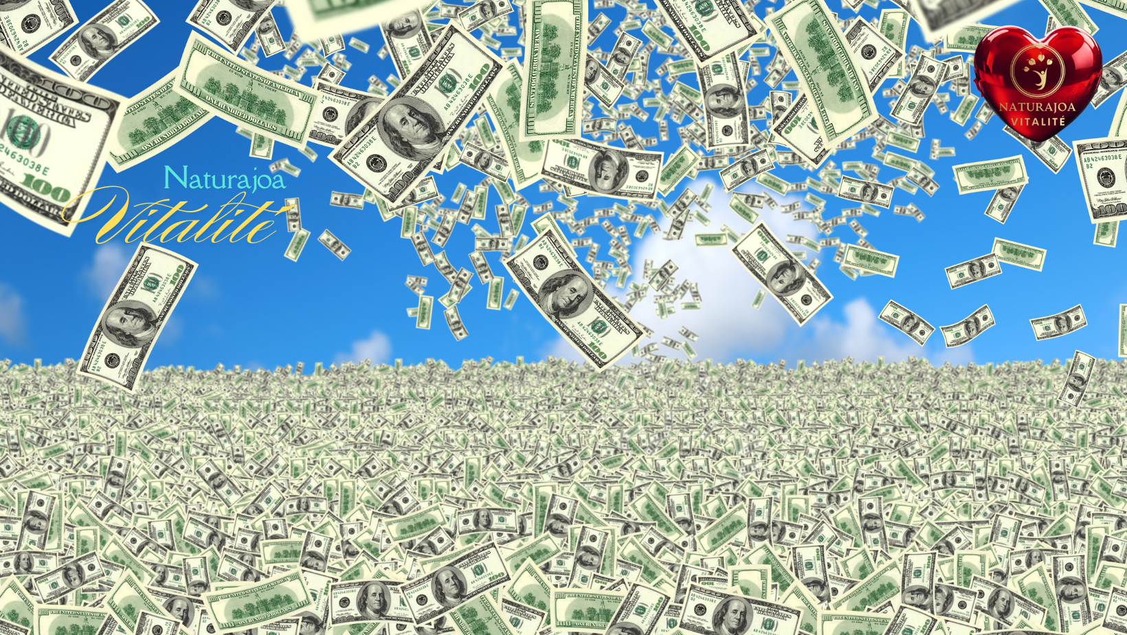 La Véritable Valeur de l’Argent en Temps de Crise naturajoa.com