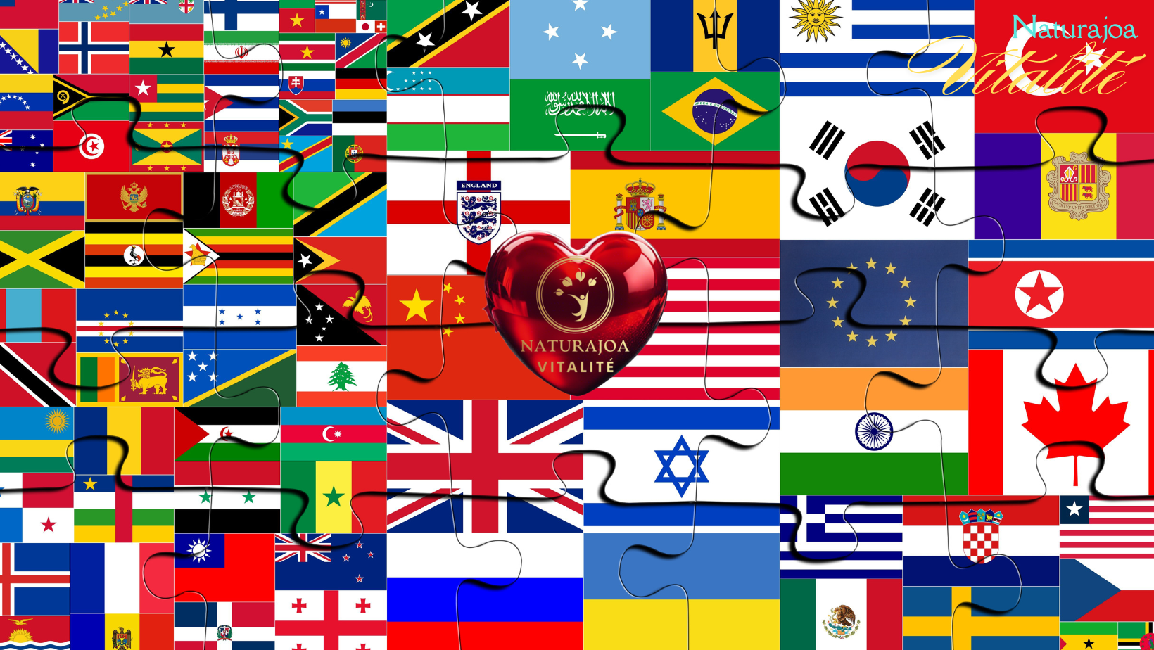 Pourquoi Seule une Vision Globale donne du Sens naturajoa.com