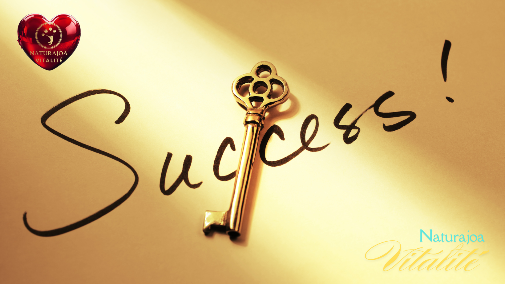 Pourquoi Seule une Vision Globale donne du Sens naturajoa.com