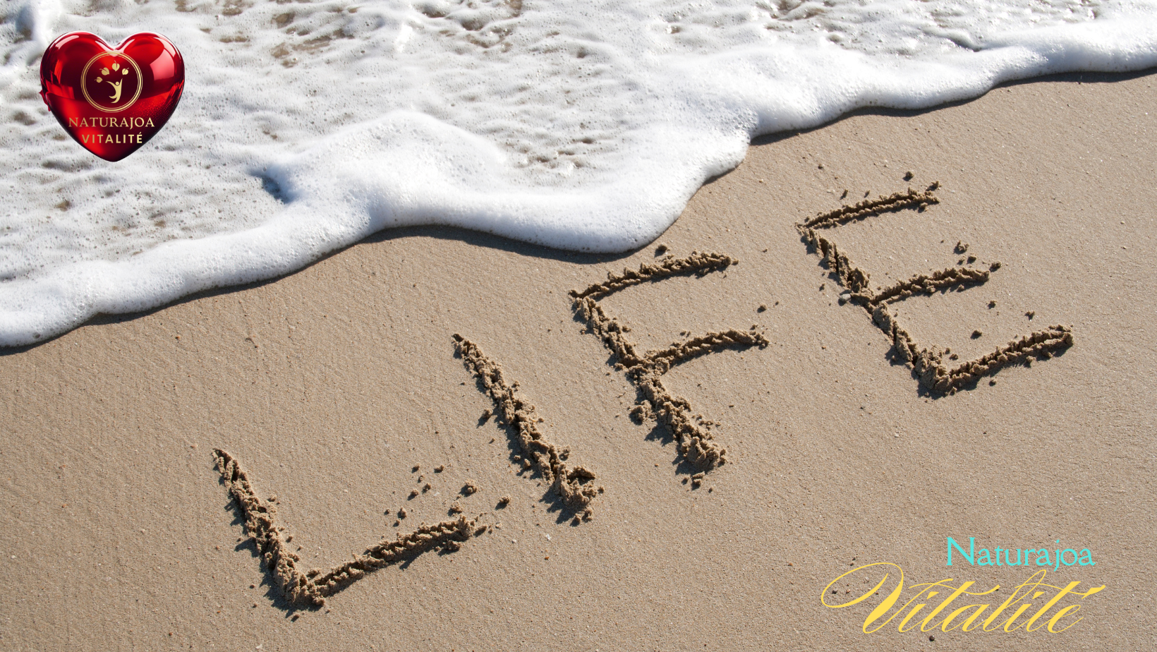 Pourquoi Seule une Vision Globale donne du Sens naturajoa.com