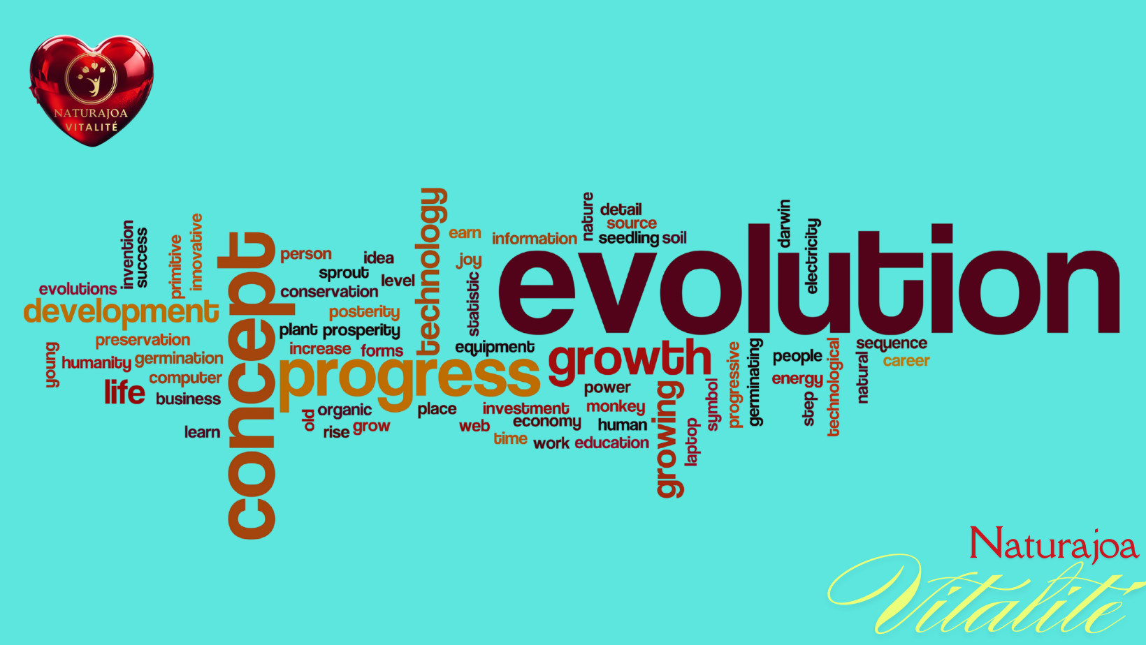 The Secrets of Natural Laws for Energy Naturajoa Vitalité Naturajoa.com