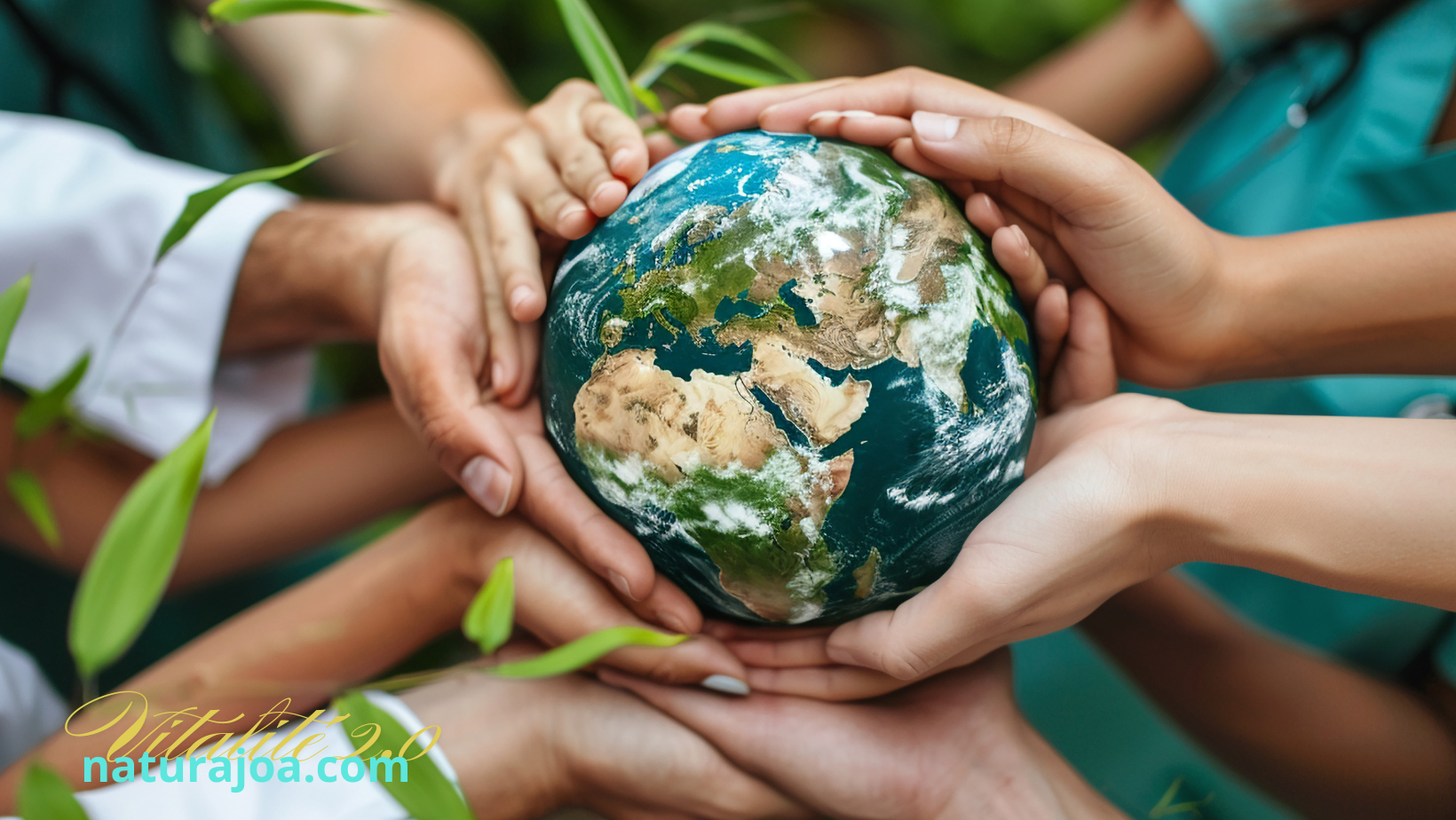 Être Végane à l’ère du Mercosur : Agir pour les Animaux et la Terre naturajoa.com jr.naturajoa.com Joanna Anna Romanowska