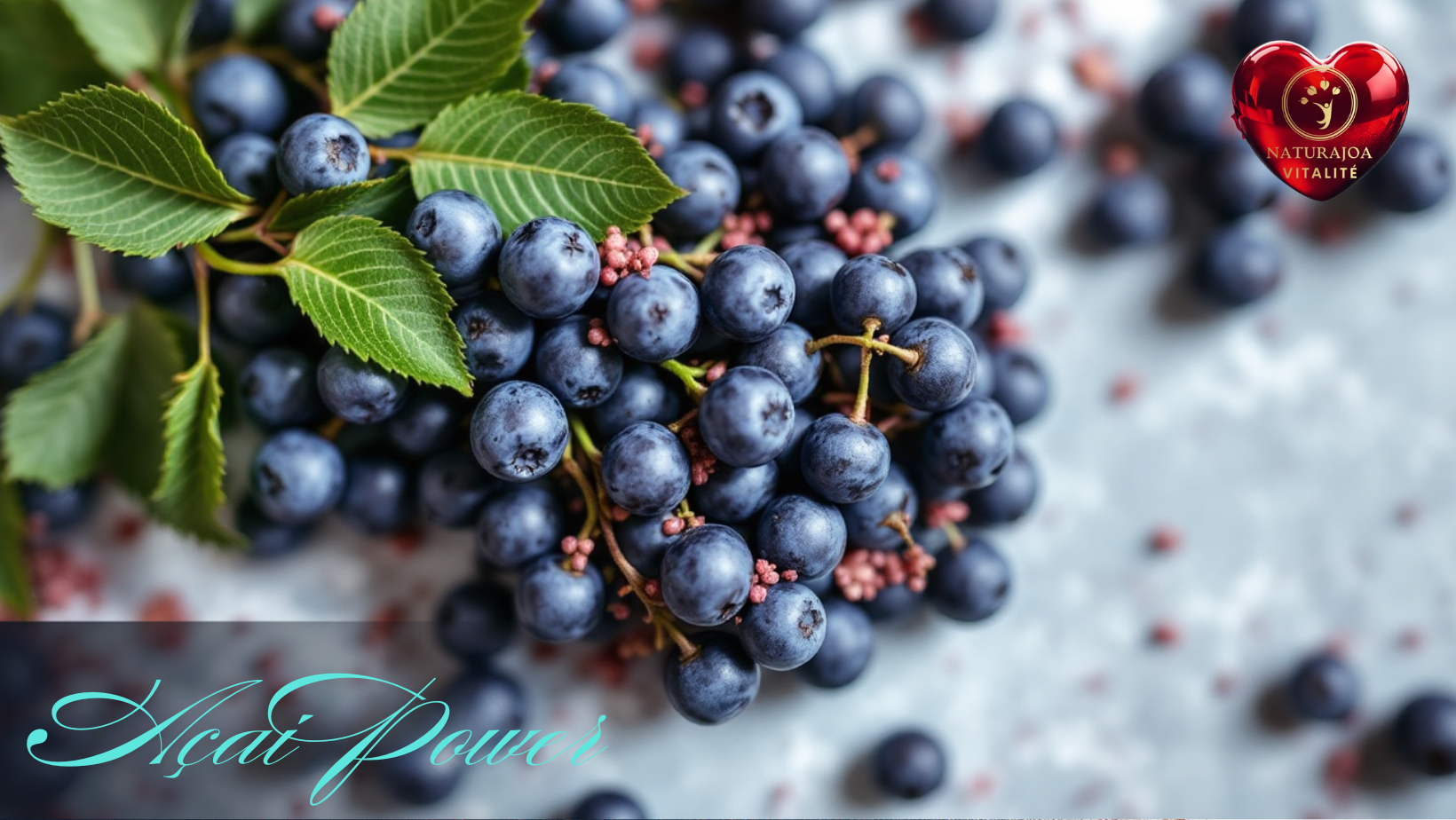 Açaï Power : Énergie, Force et Longévité. Açaí Power: Energy, Strength and Longevity naturajoa.com