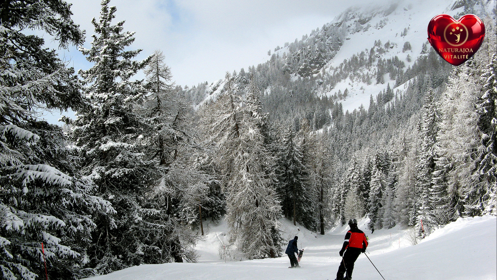 la Fragilité et la Valeur du Vivant. Crans-Montana: Le Constellation naturajoa.com