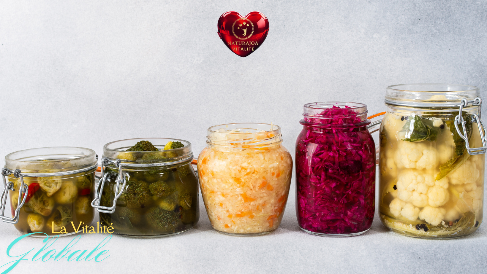 Antibiotiques et Renaissance Intestinale : quand les Aliments Vivants Réparent naturajoa.com