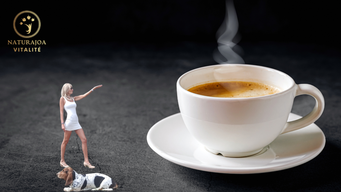 Café : stimulant efficace ou faux ami de notre vitalité ?