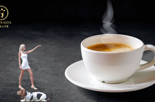 Café : stimulant efficace ou faux ami de notre vitalité ?