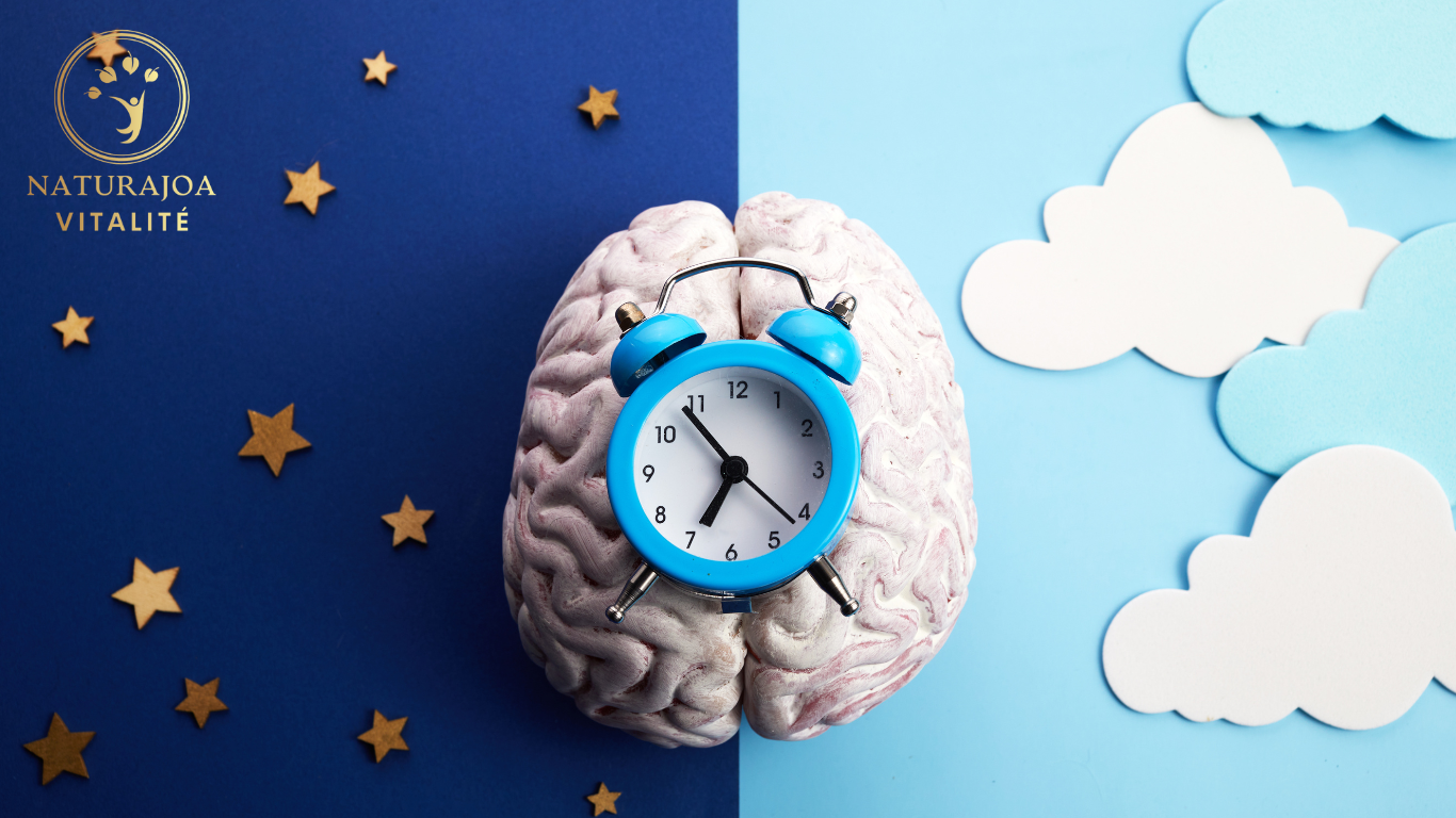 Fatigue Chronique : Pourquoi êtes-vous épuisé en Permanence naturajoa.com